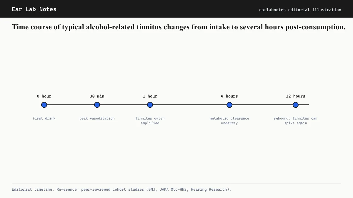 Time course of typical alcohol-related tinnitus changes from intake to several hours post-consumption.
