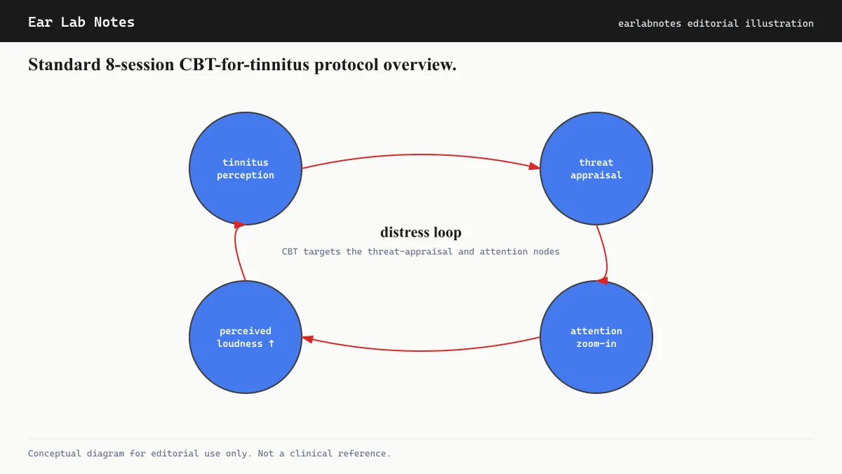 Standard 8-session CBT-for-tinnitus protocol overview.
