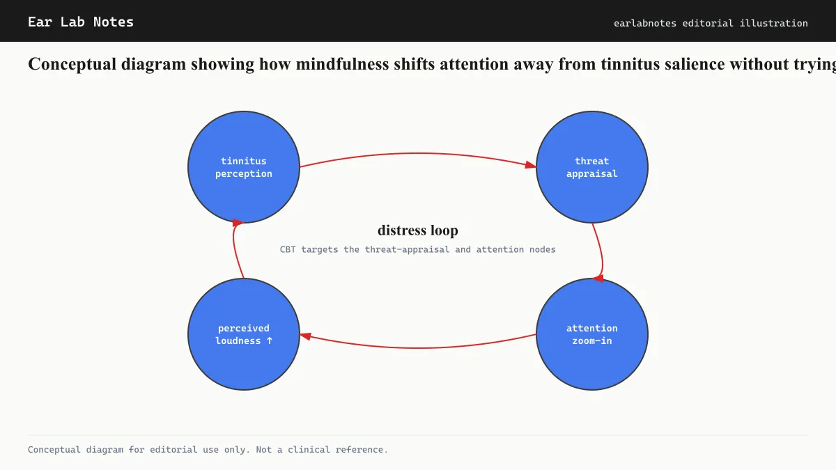 Conceptual diagram showing how mindfulness shifts attention away from tinnitus salience without trying to suppress it.