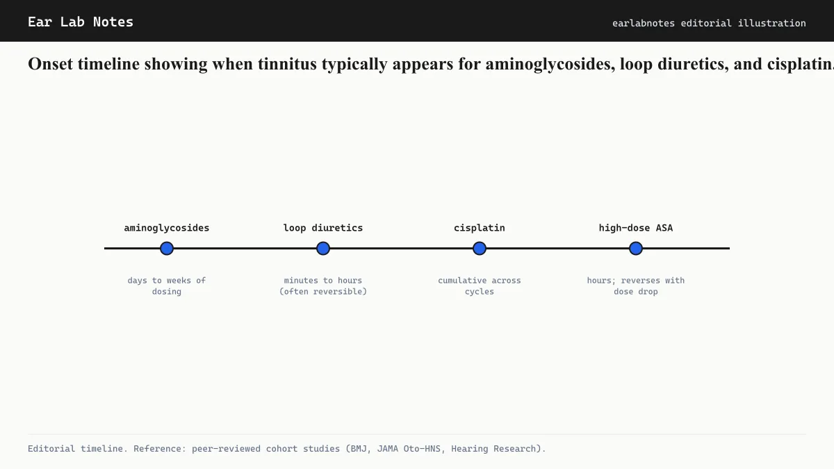 Onset timeline showing when tinnitus typically appears for aminoglycosides, loop diuretics, and cisplatin.