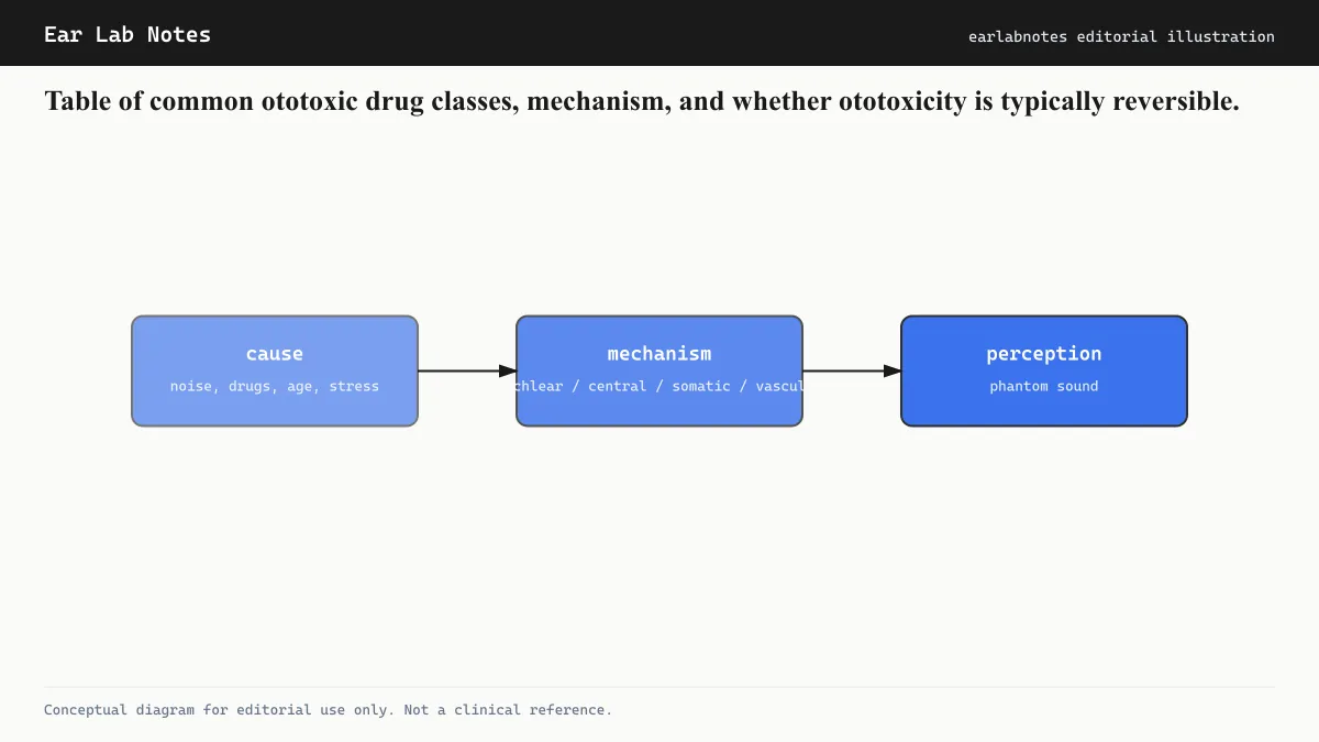 Table of common ototoxic drug classes, mechanism, and whether ototoxicity is typically reversible.