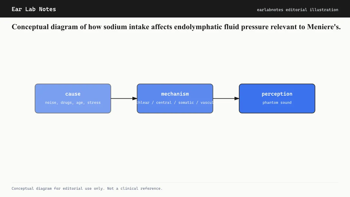 Conceptual diagram of how sodium intake affects endolymphatic fluid pressure relevant to Meniere’s.