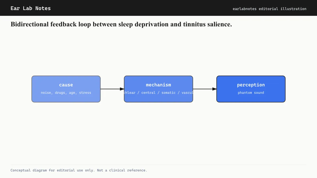 Bidirectional feedback loop between sleep deprivation and tinnitus salience.