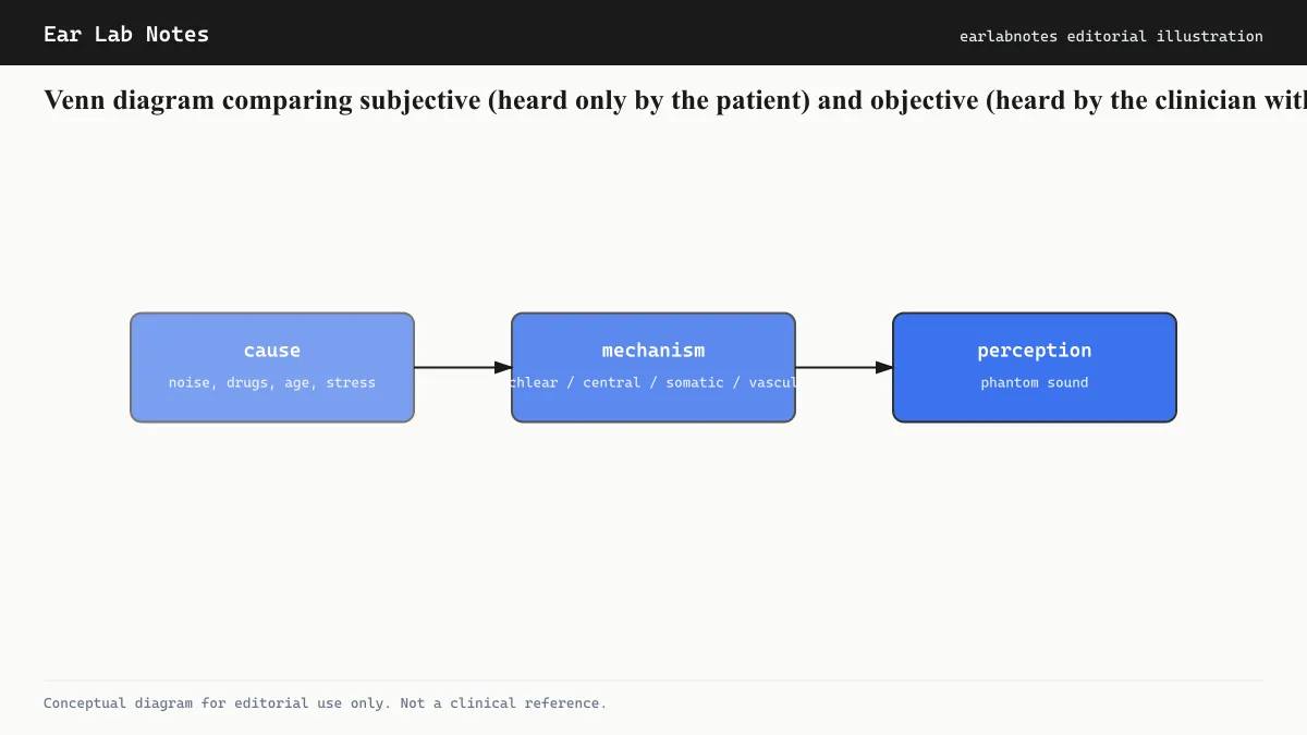Venn diagram comparing subjective (heard only by the patient) and objective (heard by the clinician with a stethoscope or microphone) tinnitus.