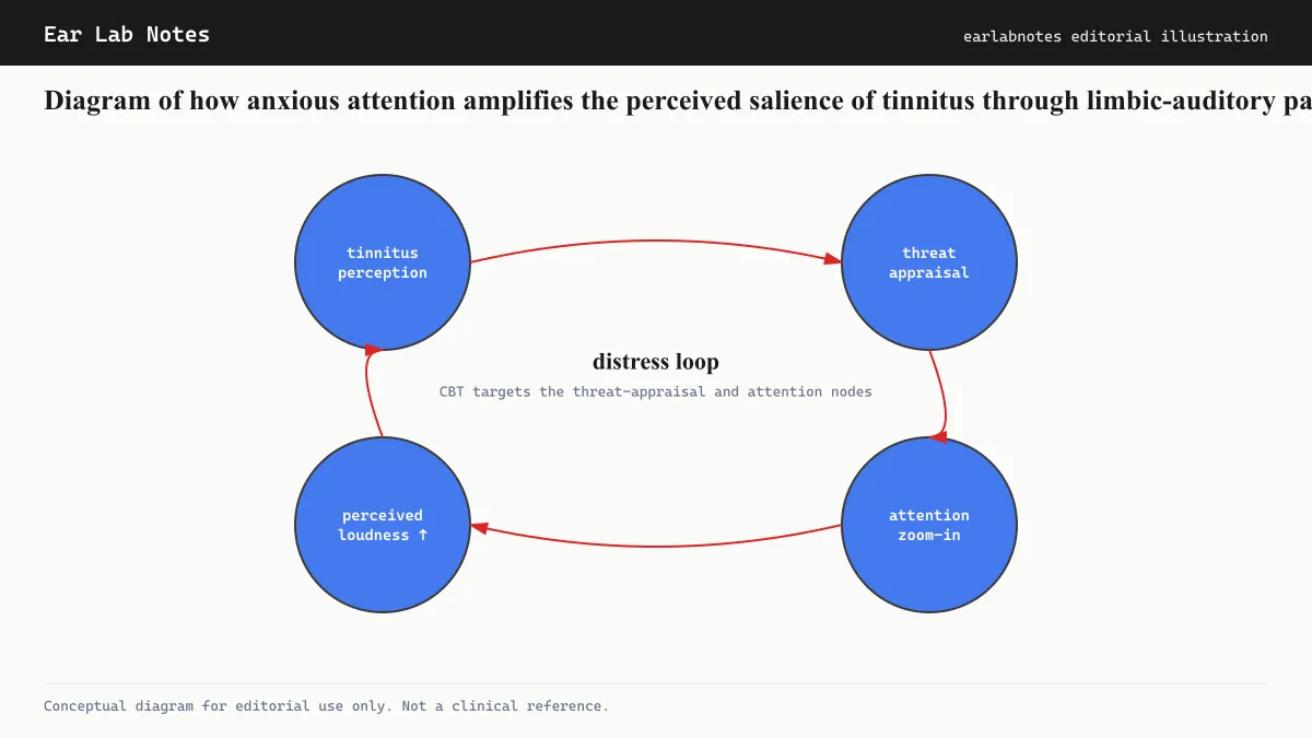 Diagram of how anxious attention amplifies the perceived salience of tinnitus through limbic-auditory pathways.