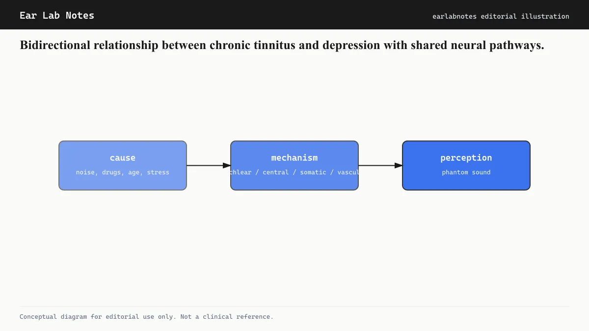 Bidirectional relationship between chronic tinnitus and depression with shared neural pathways.