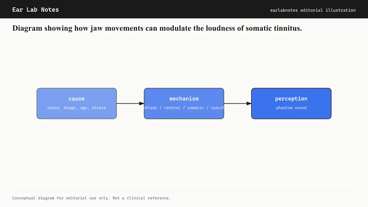 Diagram showing how jaw movements can modulate the loudness of somatic tinnitus.