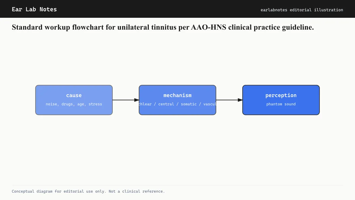 Standard workup flowchart for unilateral tinnitus per AAO-HNS clinical practice guideline.